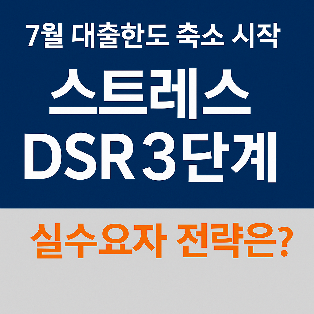 7월부터 시행되는 DSR 대출전략