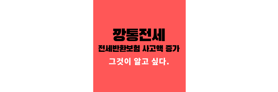 깡통전세사기-전세반환보험-사고액증가