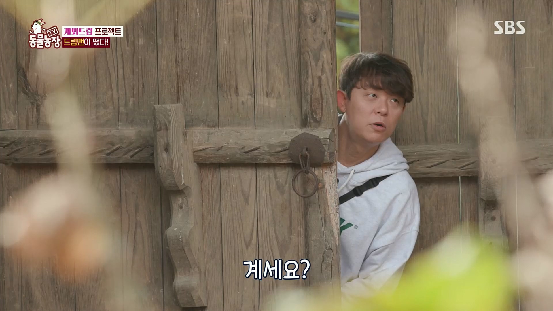 TV 동물농장.E1102.230101p.H264-F1RST.mp4_20230101_182843.038.jpg