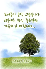 6월 인사말 모음집 이미지 문구 이미지 모음_3
