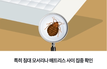 빈대 퇴치법