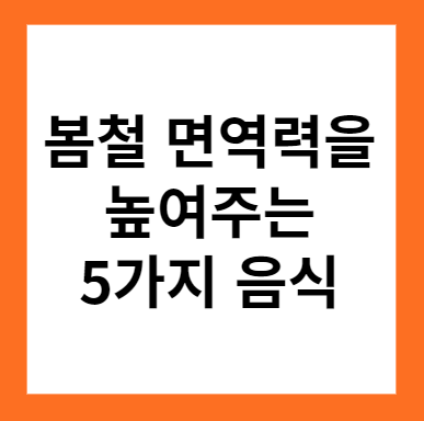 봄철 면역력을 높여주는 5가지 음식