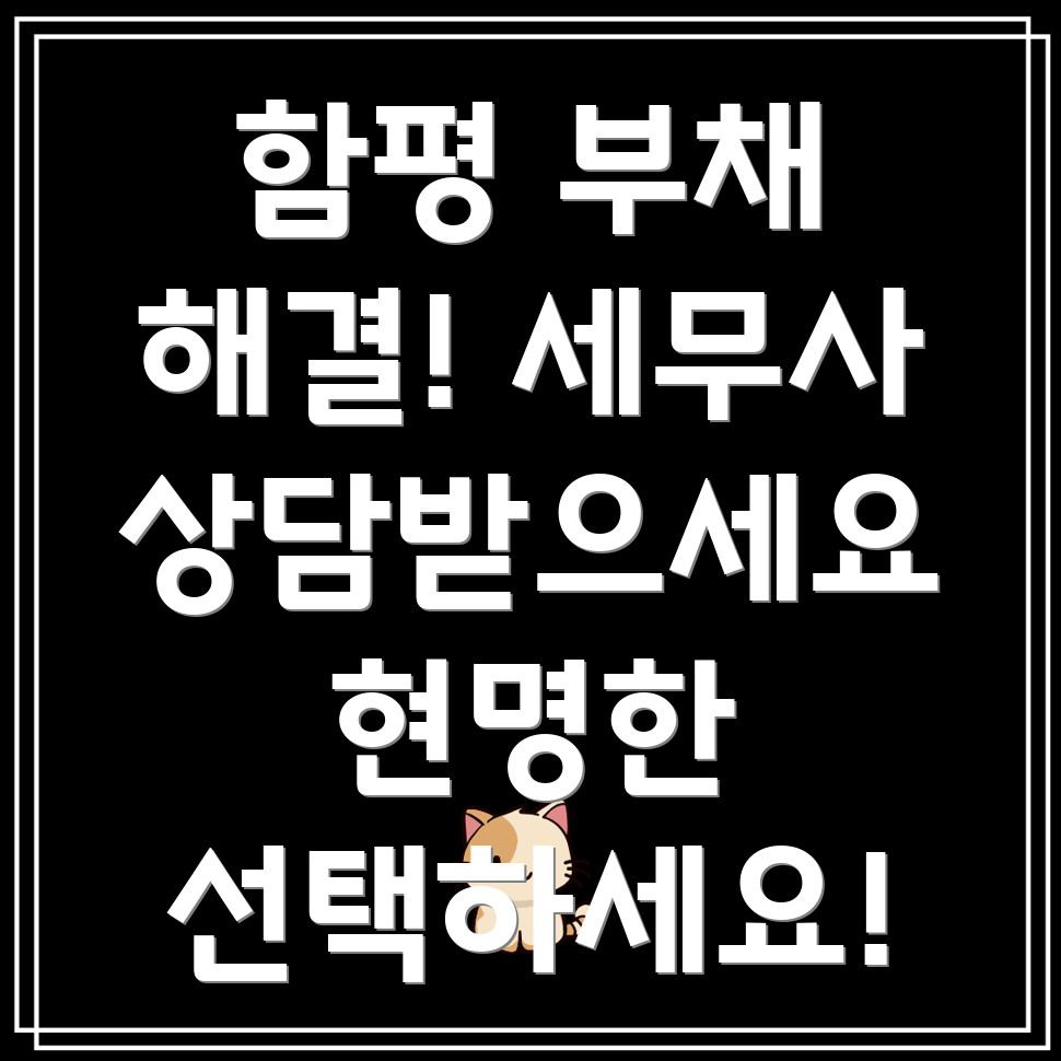 함평군 부채 관리