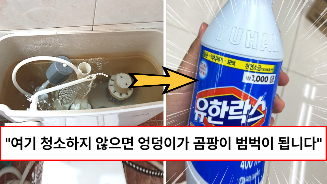 “99%가 여기를 청소하지 않습니다” 엉덩이가 곰팡이 범벅이 안되게 막아준다는 이 방법