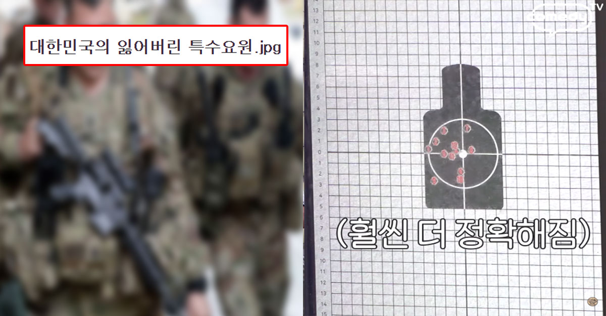  대한민국의 기억잃은 특수요원이라 불리는 여자연예인