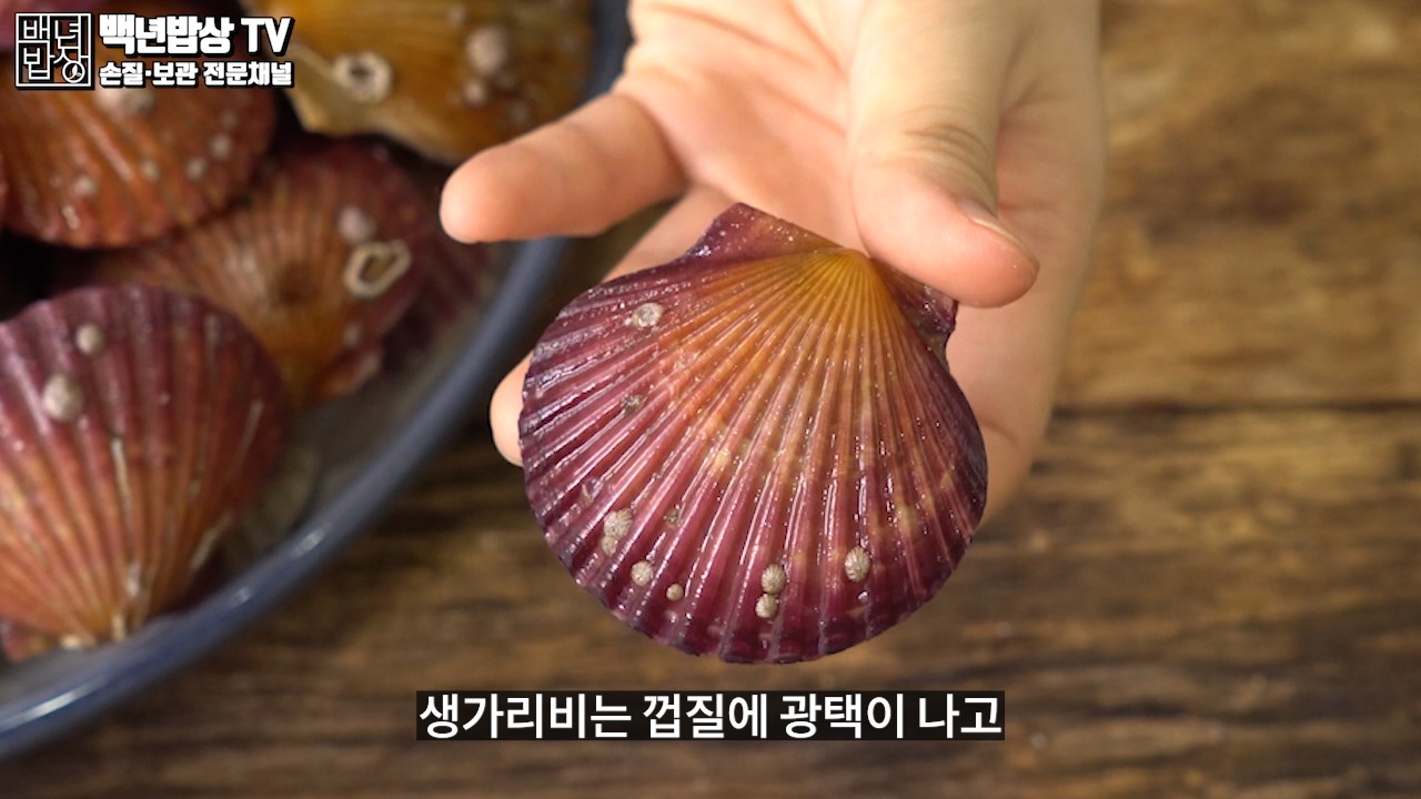 가리비 찜 맛있게 만드는법! 해감할필요가없다고? 가리비 손질법,보관방법