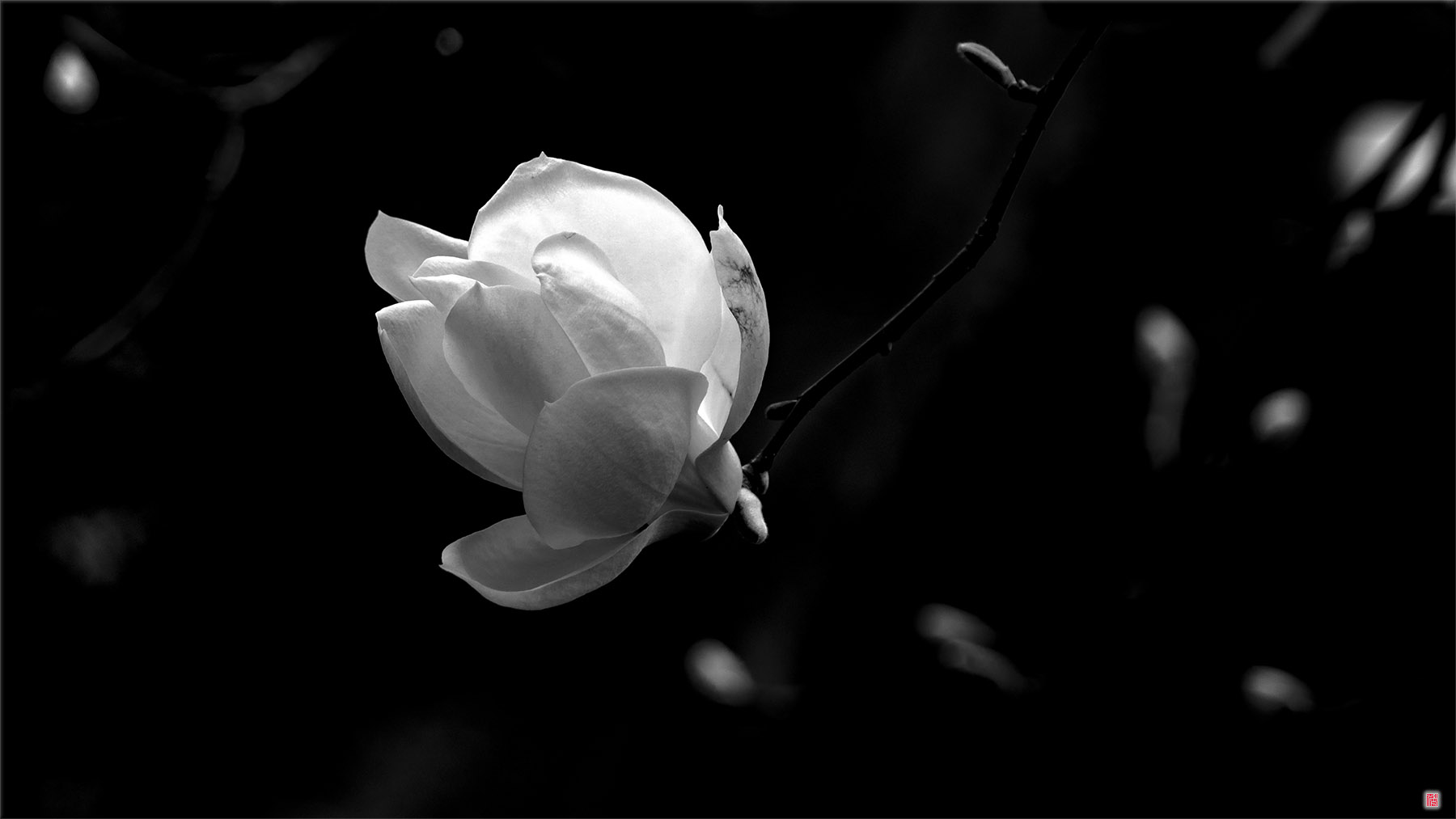  [Black & White] 누가 4월을.....