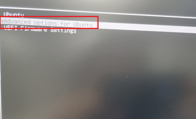 advanced options for ubuntu 클릭
