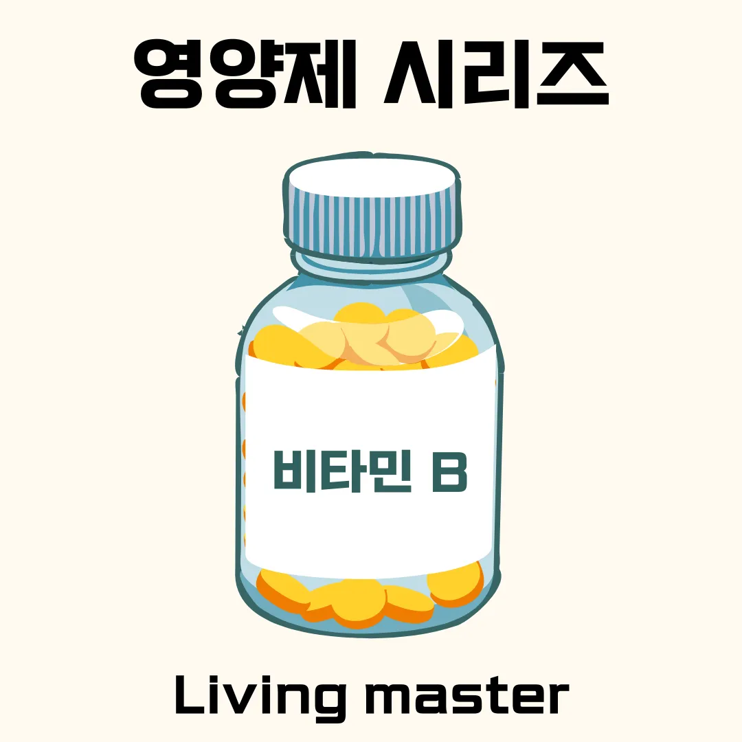 비타민 B의 비밀에 대해서 알려드립니다.