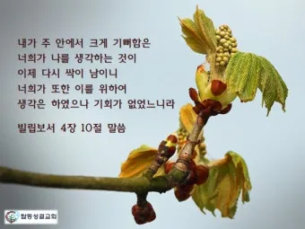 빌립보서 4장 묵상 해석 성경_28