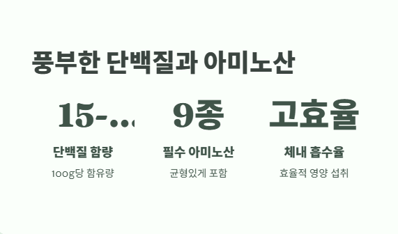 다슬기 효능 최신 정보 4