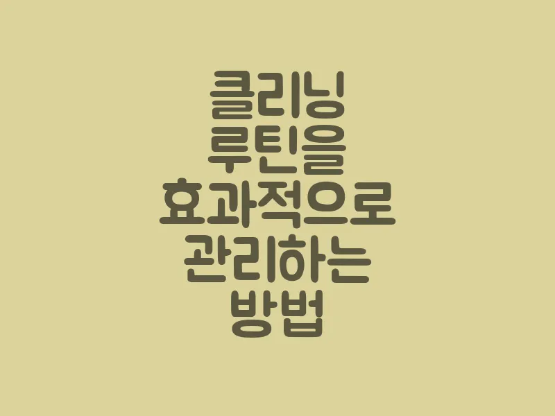 클리닝 루틴을 효과적으로 관리하는 방법
