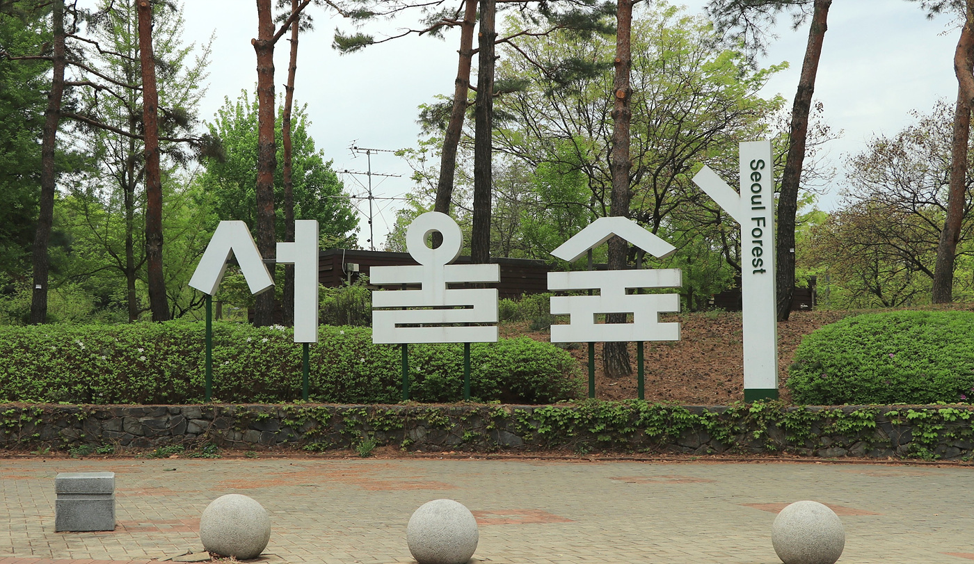 주말 서울숲 튤립 개화 현황… 1