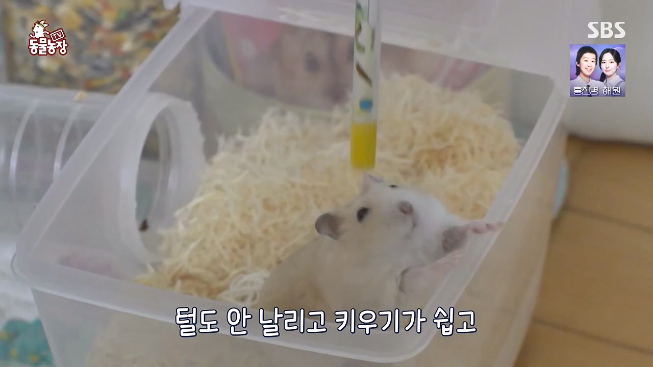 TV 동물농장.E1178.240630.ts_20240630_164638.588.jpg