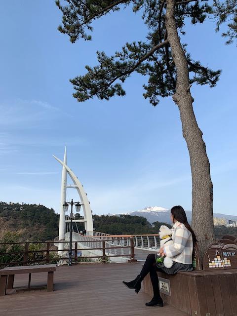  반려견과 같이 갈 수 있는 제주 관광지 [새연교, 새섬공원]