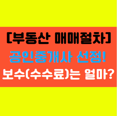  [부동산 매매계약 전 준비사항 2탄] 중개업체 선정-보수 산정방법-금지행위 알아보기!