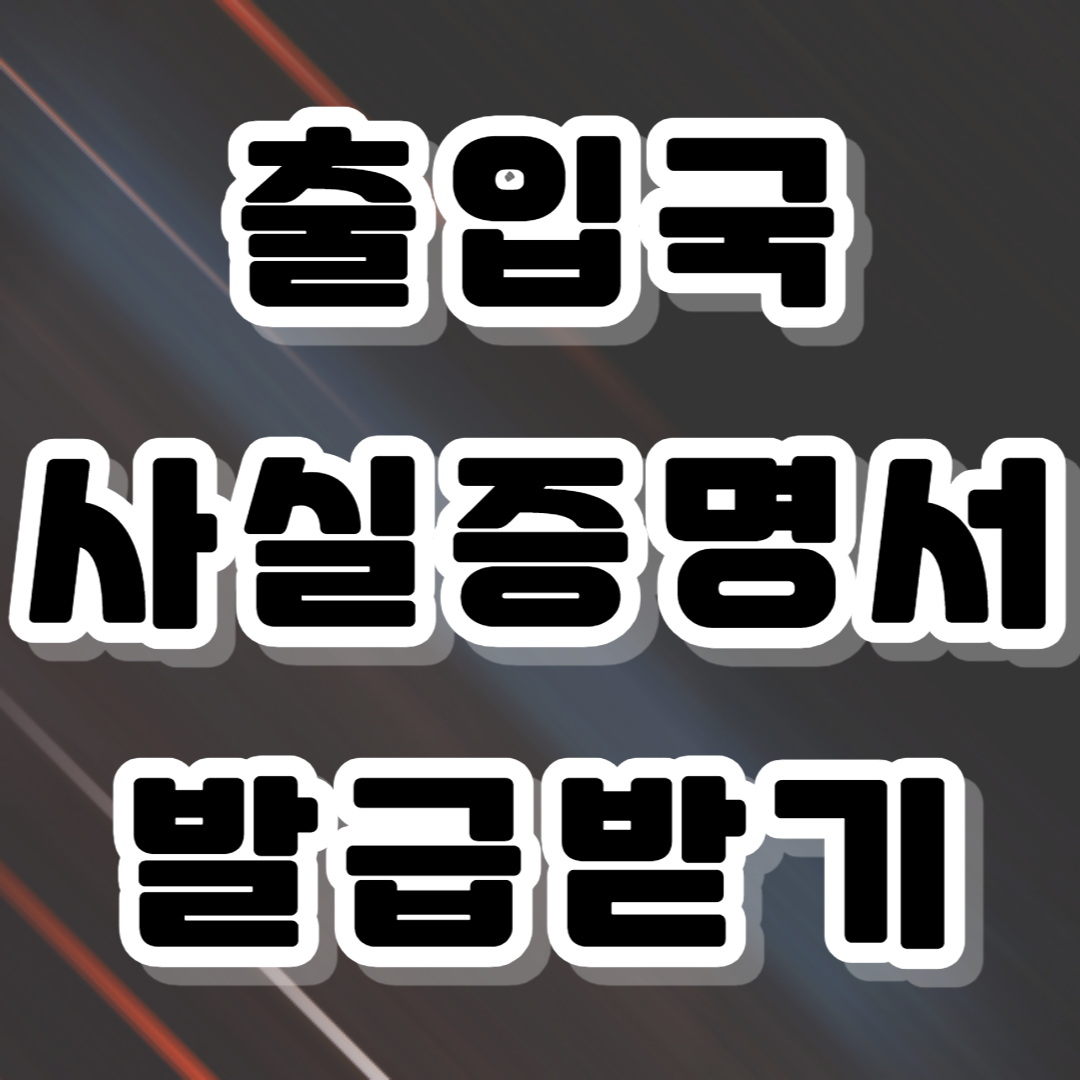 출입국사실증명서 인터넷발급