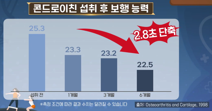 콘드로이친 효능