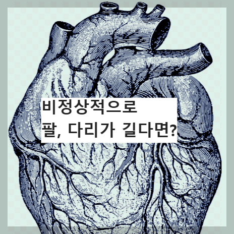 심장모양
