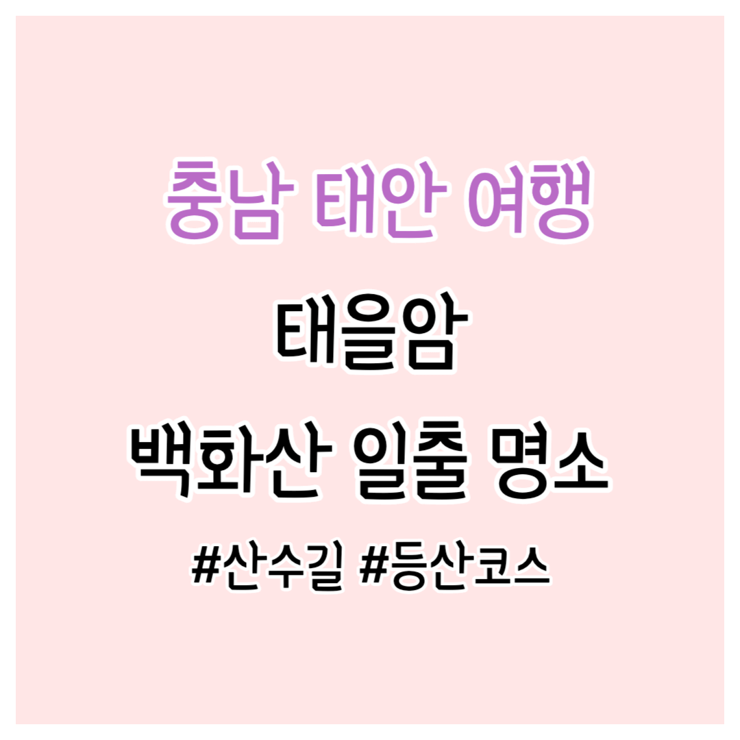 섬네일-이미지