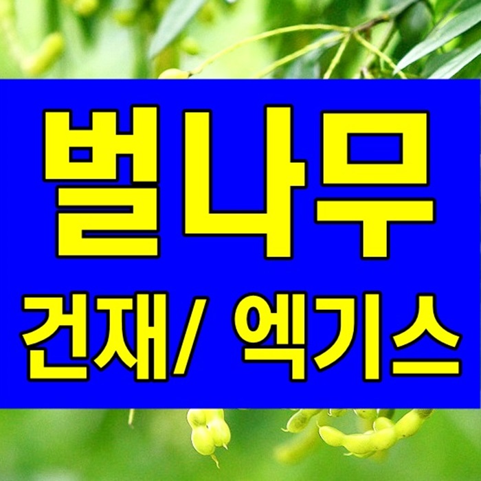 꿀벌나무 효과, 나무즙, 추출물, 건성분 선택방법 5