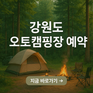 라파엘펜션글램핑장 - 가족과 함께 즐기는 고성 감성 글램핑