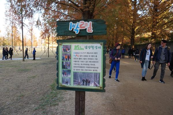  담양 가볼만한곳 담양 BEST 여행지 10군데