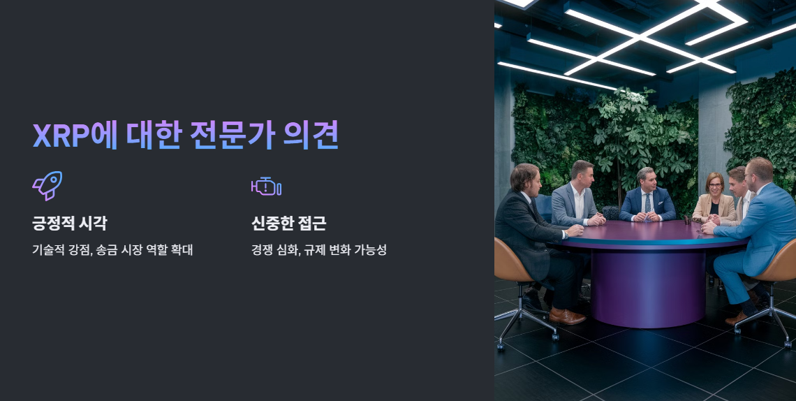 전문가 의견