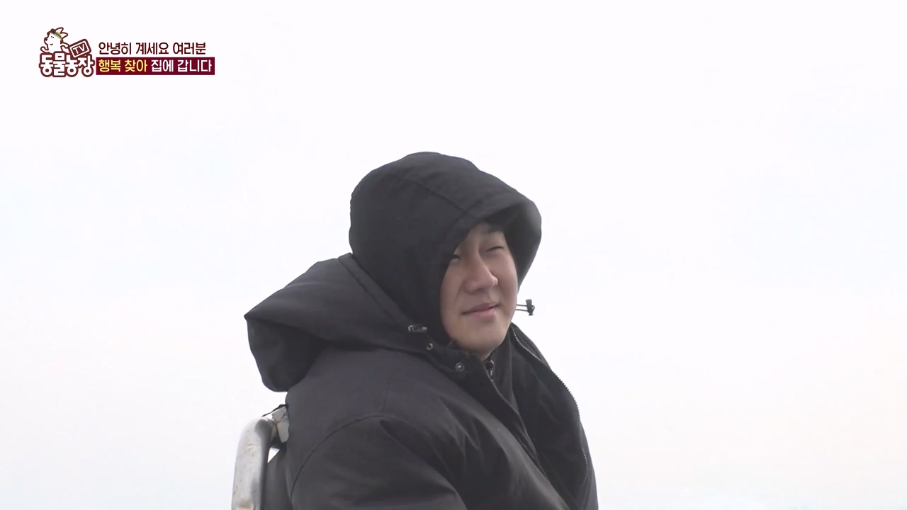 TV 동물농장.E1171.240513p-NEXT.mp4_20240512_163329.117.jpg