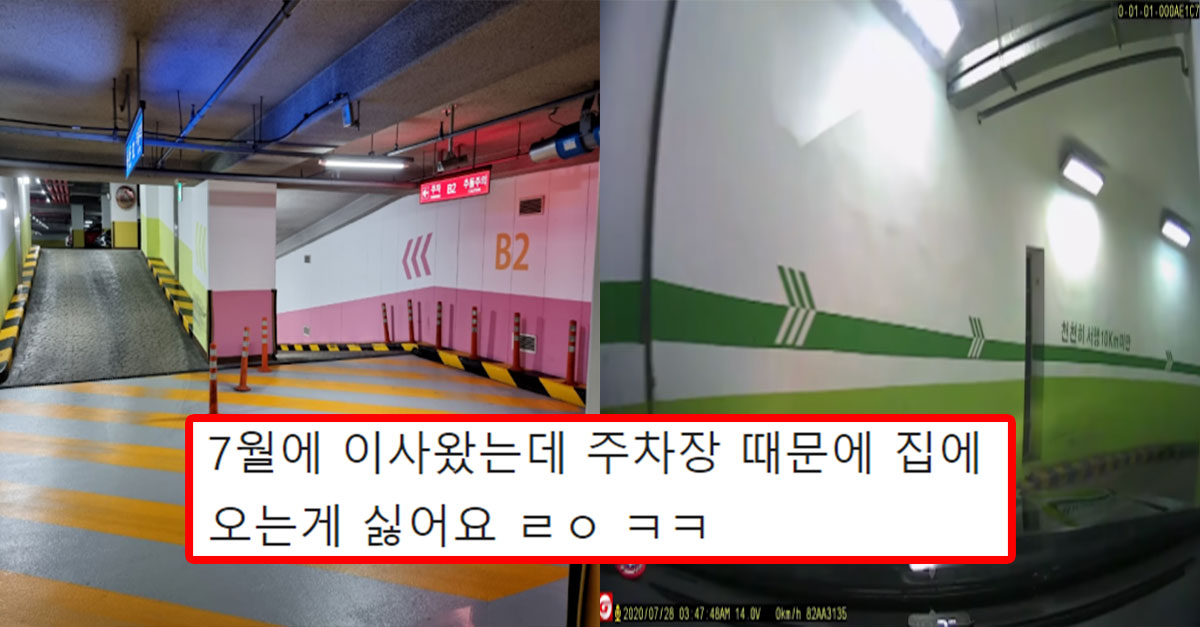  주차장 때문에 집에 가기 싫다는 어느 아파트 주차장 대참사