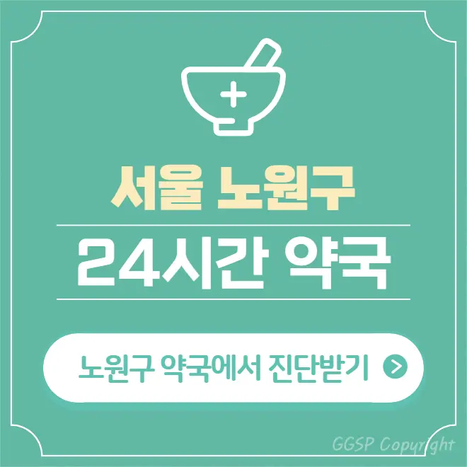  노원구 24시간 약국 찾기 | 휴일 야간 심야 일요일 당번약국 52곳