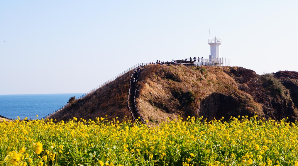 제주도 사진