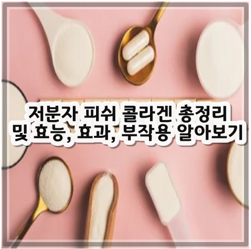 저분자 피쉬 콜라겐 총정리 및 효능, 효과, 부작용 알아보기