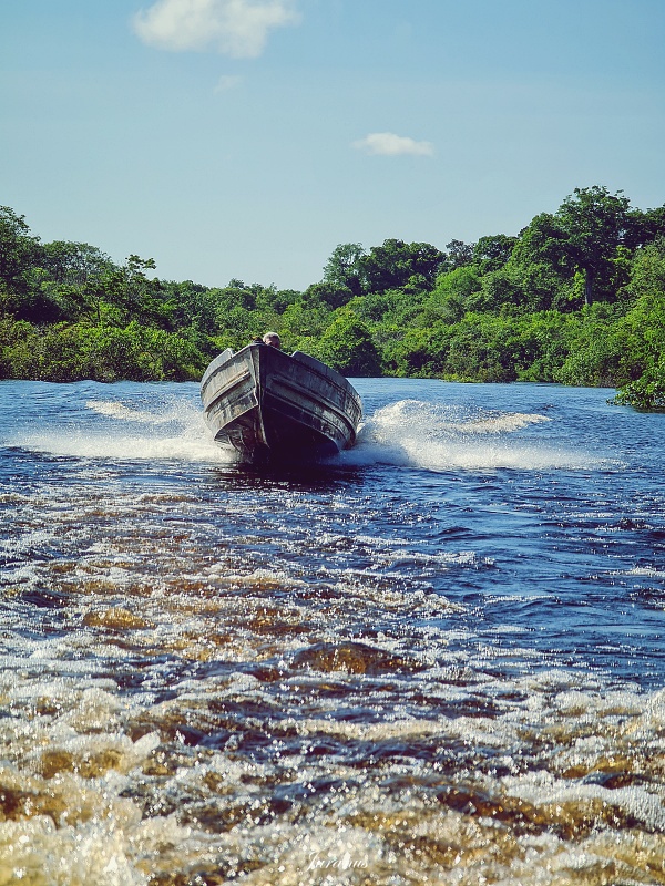 Amazon River tour 06