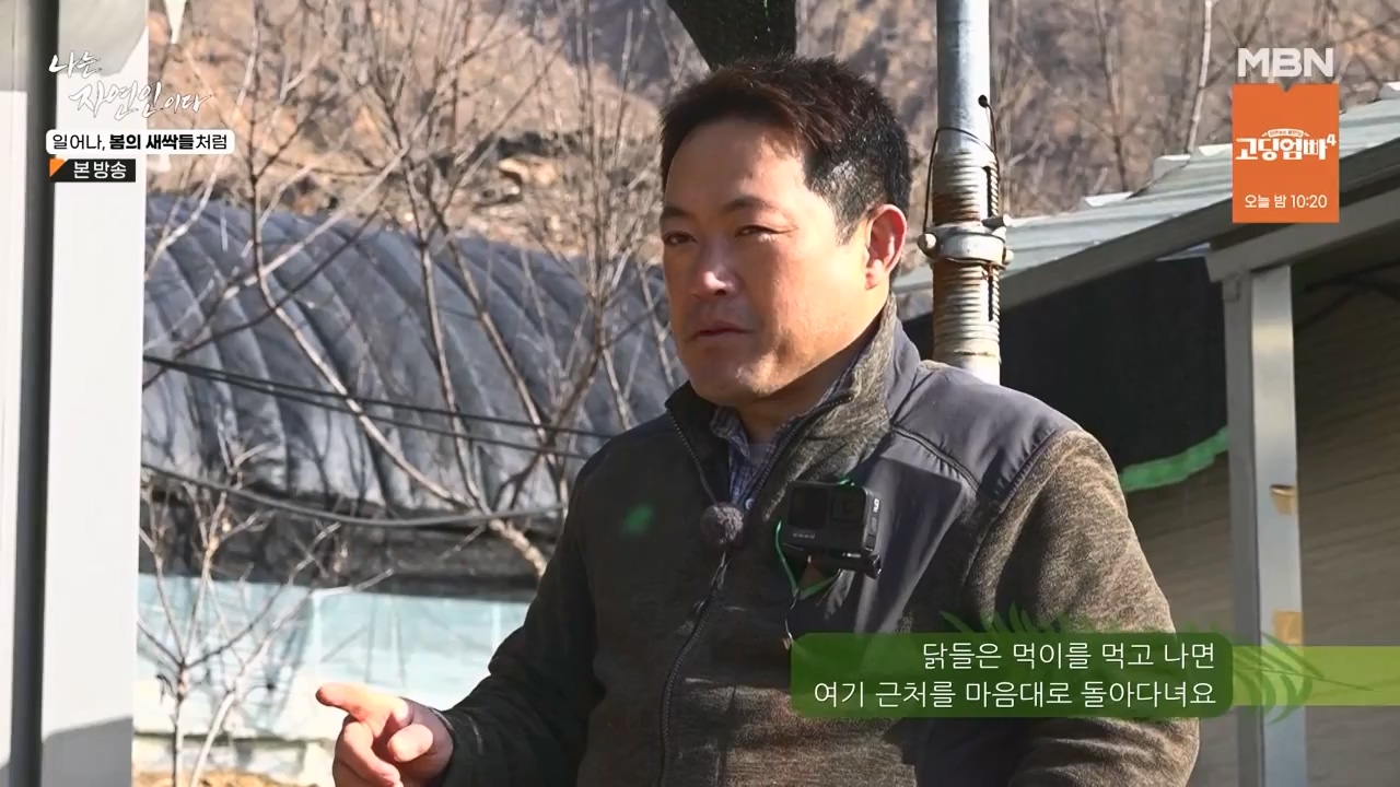 나는 자연인이다.E593.240215p-NEXT.mp4_20240215_200738.401.jpg