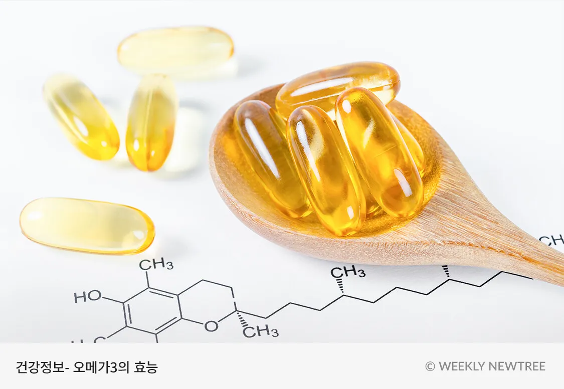 오메가3 효능