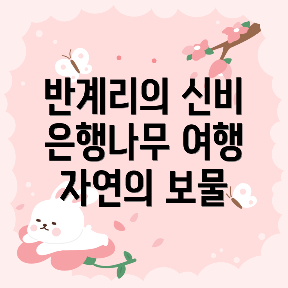 반계리 은행나무