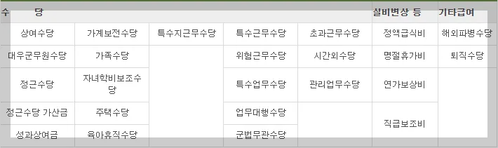 2025년 군인수당종류
