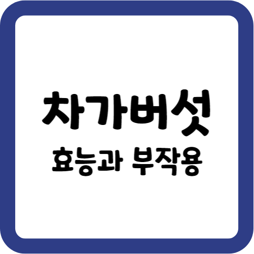 차가버섯의 효능과 부작용