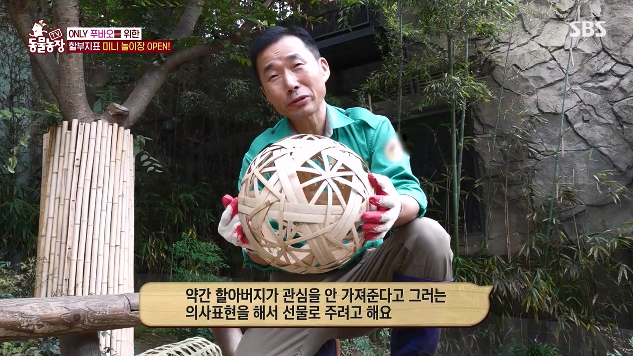 TV 동물농장.E1134.230821p-NEXT.mp4_20230820_193343.967.jpg