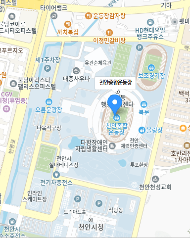 충남도민체육대회 초청가수 축하공연
