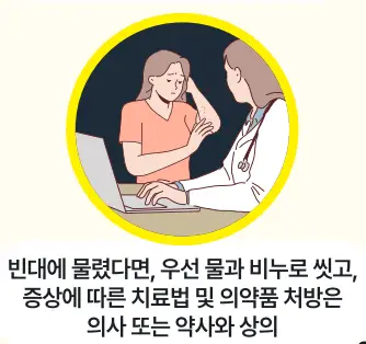 빈대-퇴치법