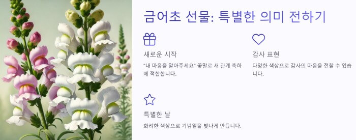 금어초 선물 ppt이미지