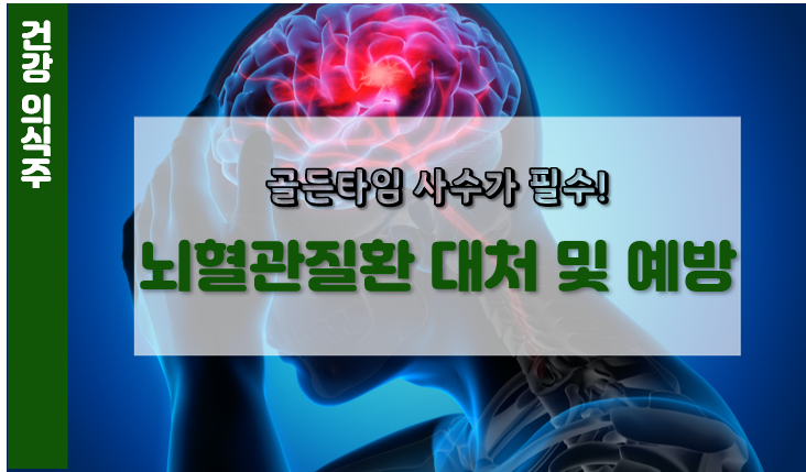 원인 뇌경색 뇌경색 초기증상/원인/예방방법/좋은음식