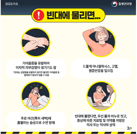 빈대에-물릴시-대처방법