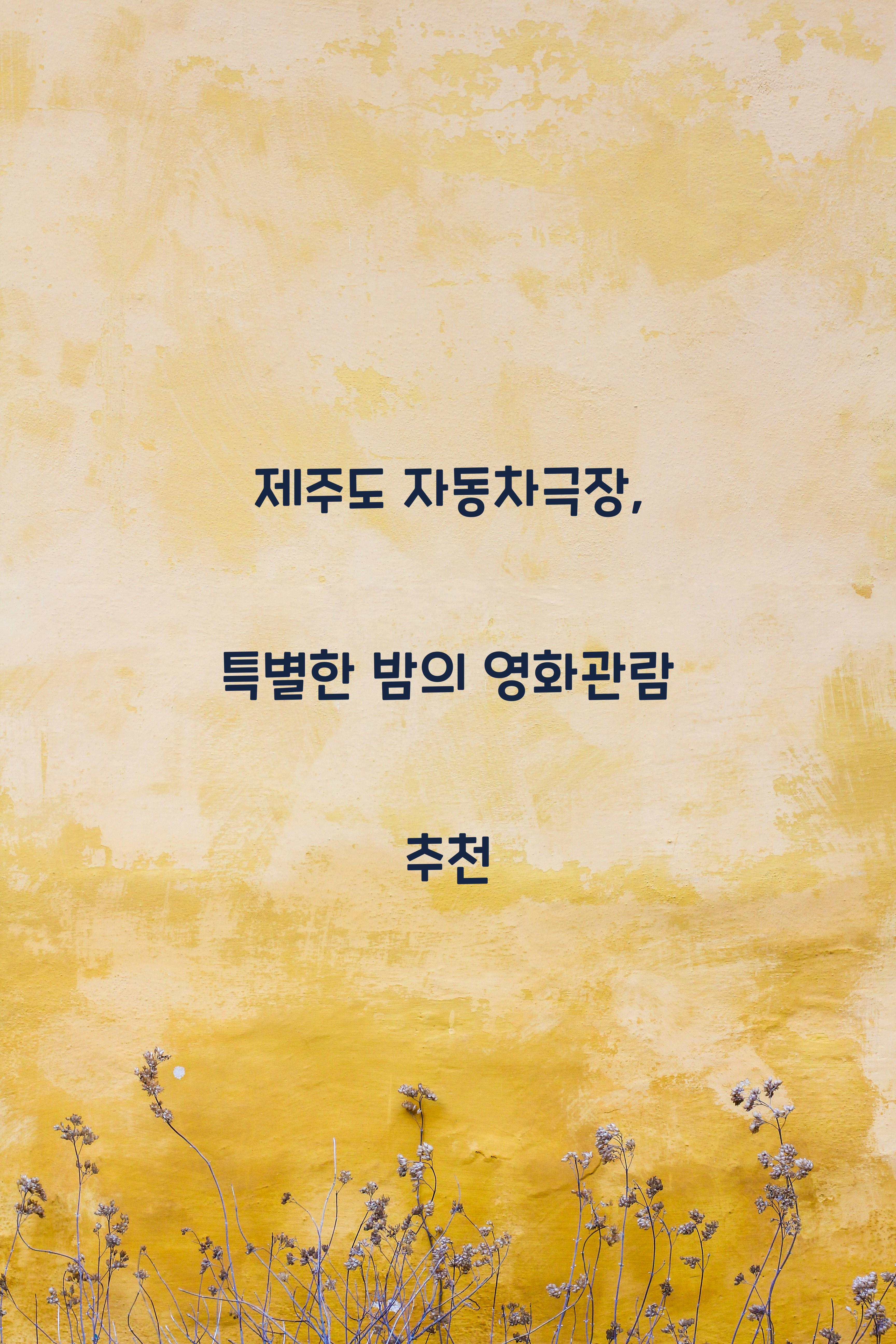 제주도자동차극장