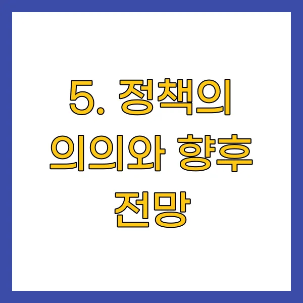 정책의 의의와 향후 전망