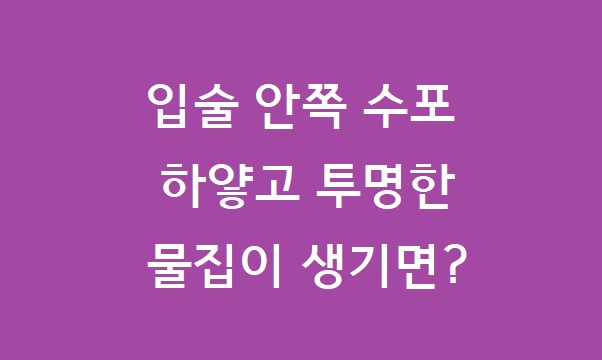 입술 안쪽 수포