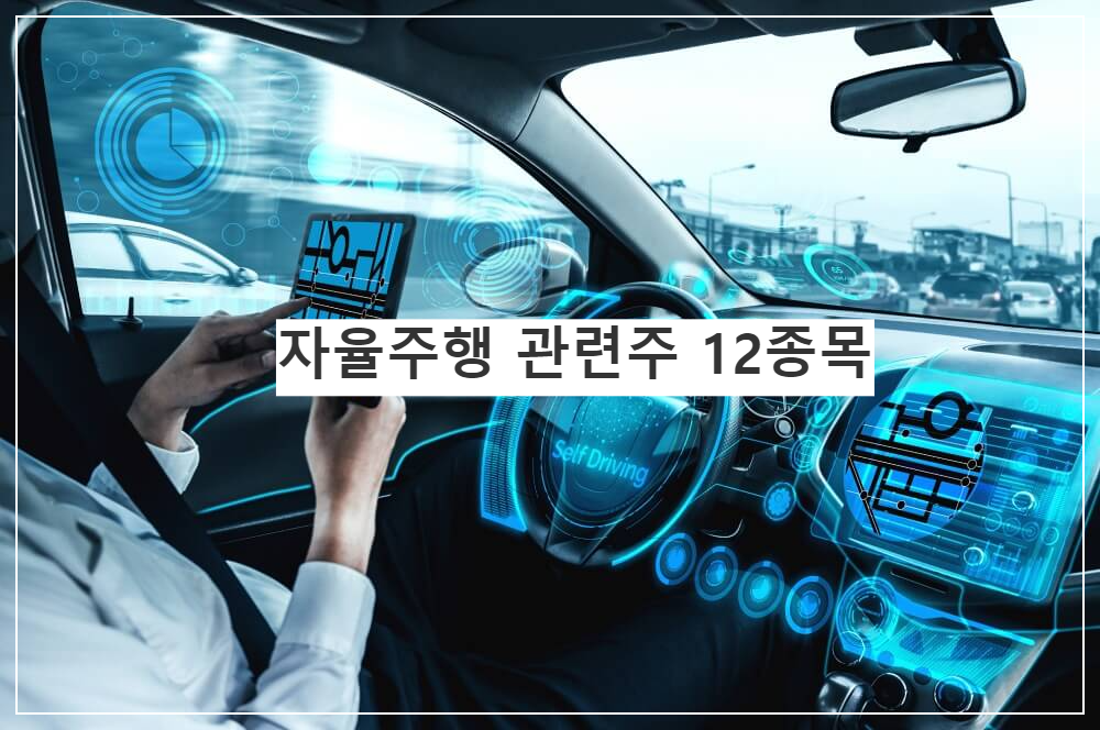 자율주행 관련주 12종목