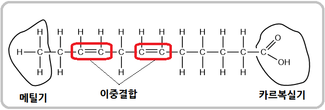 불포화지방산-화학적구조